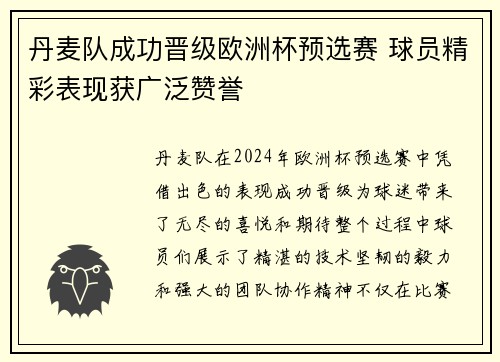 丹麦队成功晋级欧洲杯预选赛 球员精彩表现获广泛赞誉